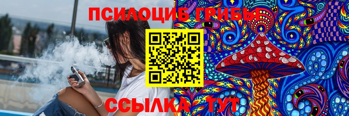 купить закладку  Псилоцибиновые грибы Psilocybine cubensis  Вход с VPN  Муравленко 